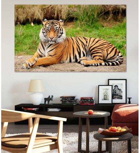 Painel Fotográfico Tigre-de-bengala