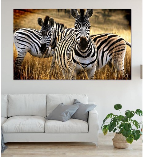 Painel Fotográfico Natureza Zebras