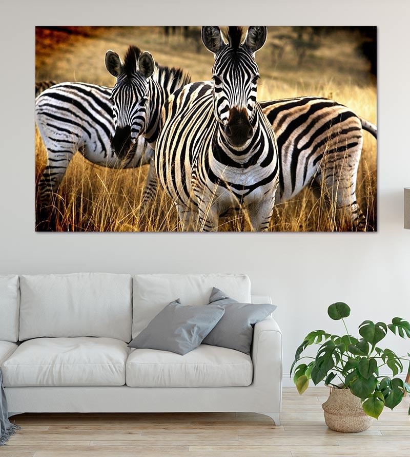 Painel Fotográfico Natureza Zebras