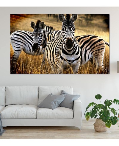 Painel Fotográfico Natureza Zebras
