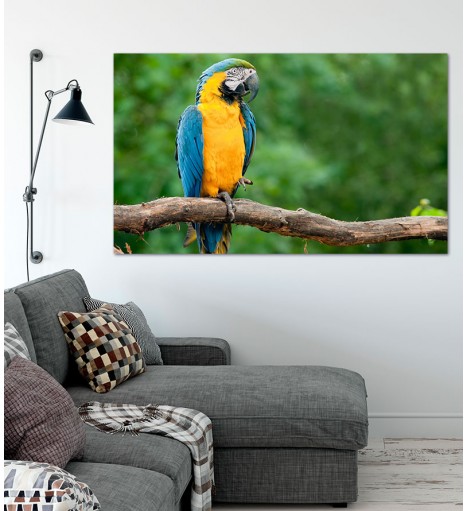 Painel Fotográfico Arara Azul