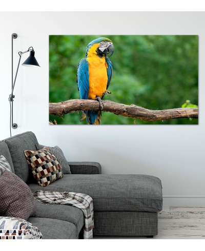 Painel Fotográfico Arara Azul