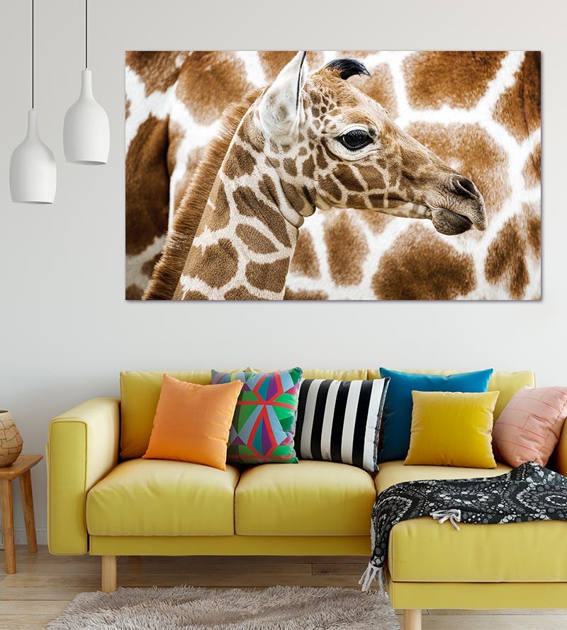 Painel Fotográfico Girafa