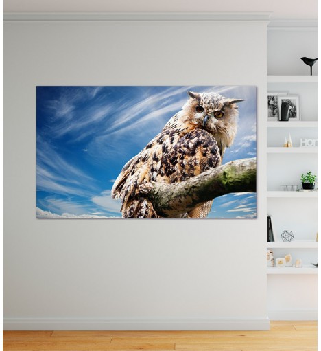 Painel Fotográfico Coruja