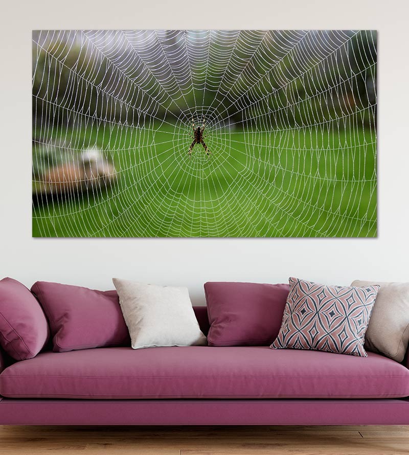 Painel Fotográfico Teia de Aranha