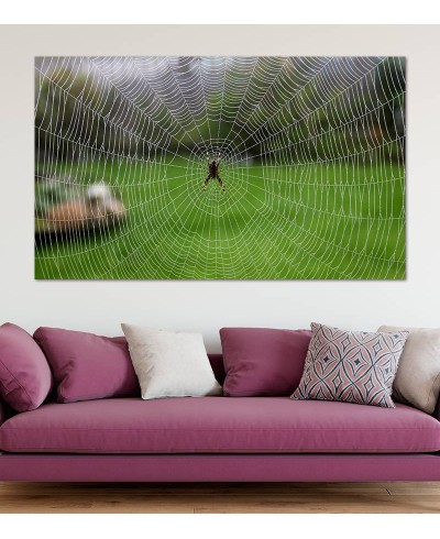 Painel Fotográfico Teia de Aranha