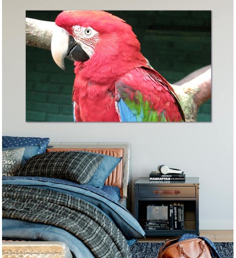 Painel Fotográfico Arara Vermelha