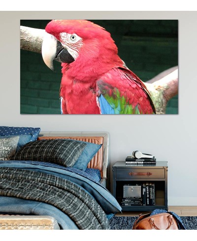 Painel Fotográfico Arara Vermelha