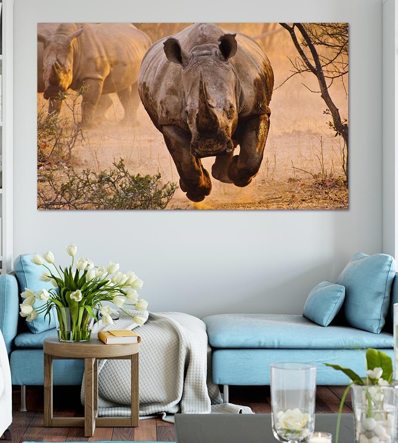 Painel Fotográfico Rinoceronte