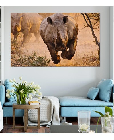 Painel Fotográfico Rinoceronte