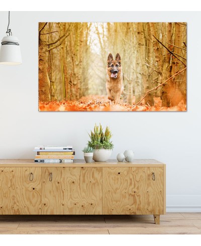 Painel Fotográfico Pastor Alemão