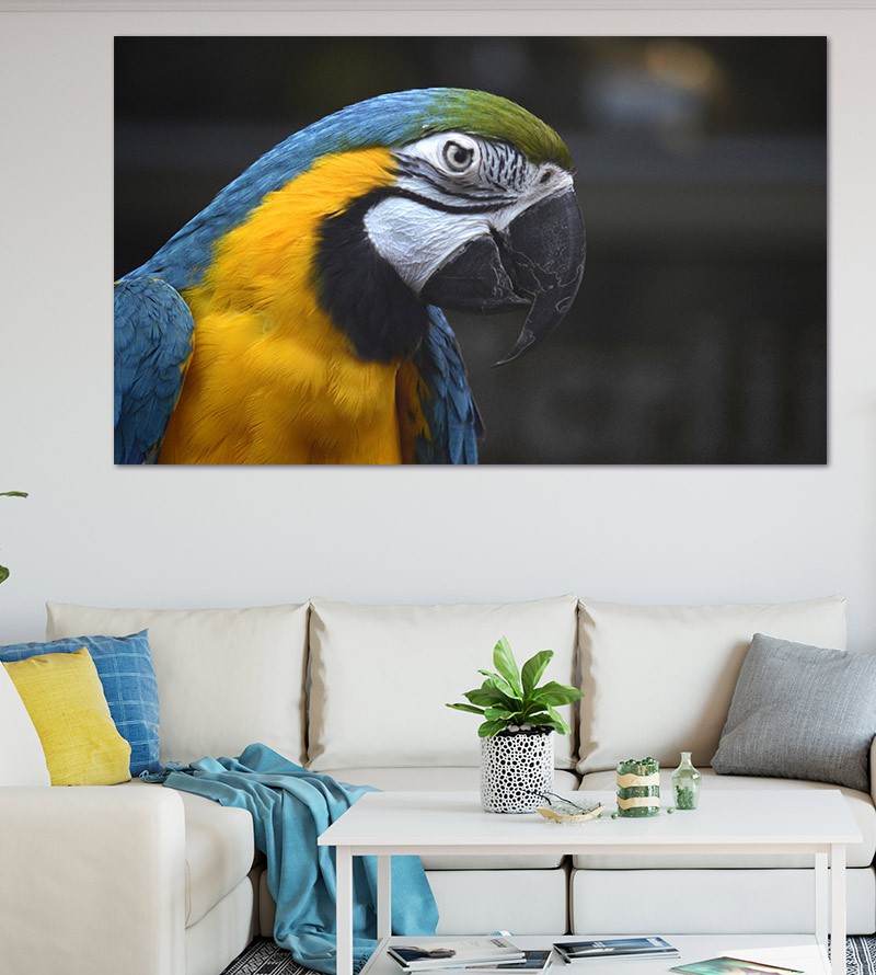 Painel Fotográfico Arara