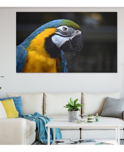 Painel Fotográfico Arara