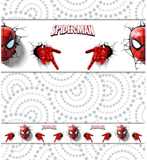 Border Spider Man