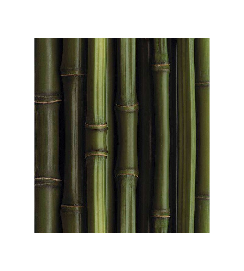 Papel de parede estilo madeira, modelo bambu em tons verde com fundo preto - Madeira 85