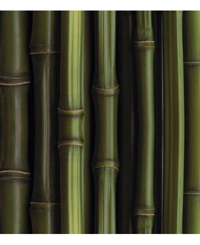 Papel de parede estilo madeira, modelo bambu em tons verde com fundo preto - Madeira 85